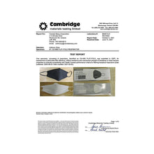 Load image into Gallery viewer, CA - N95 Flat Fold Respirators (Pack of 10) (Canadian Made)