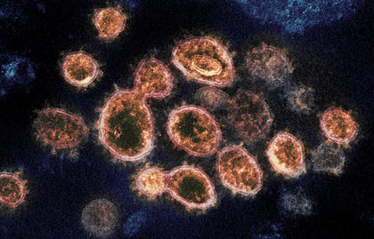 Should We Be Worried As a Society About Future COVID-19 Variants?