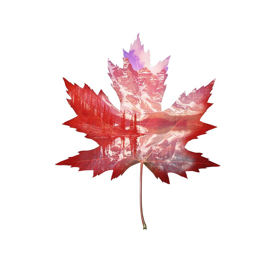 Canadian-made PPE products, including masks, gloves, sanitizers, and safety supplies, ensuring high quality and reliability.