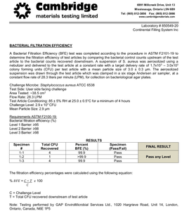 ASTM Level 2 Surgical Mask (Made in Canada) (50 per box) - PPE ONLINE